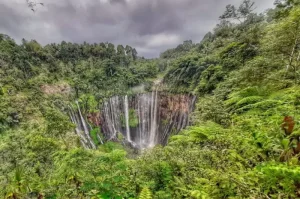 Tourist Destinations in East Java that Offer Natural Beauty and Exciting Adventures