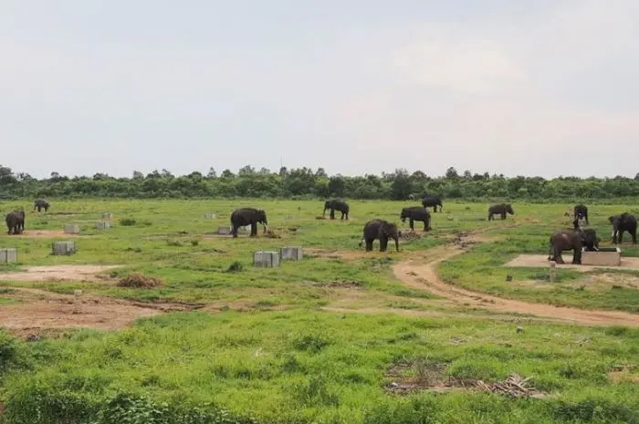 Way Kambas National Park